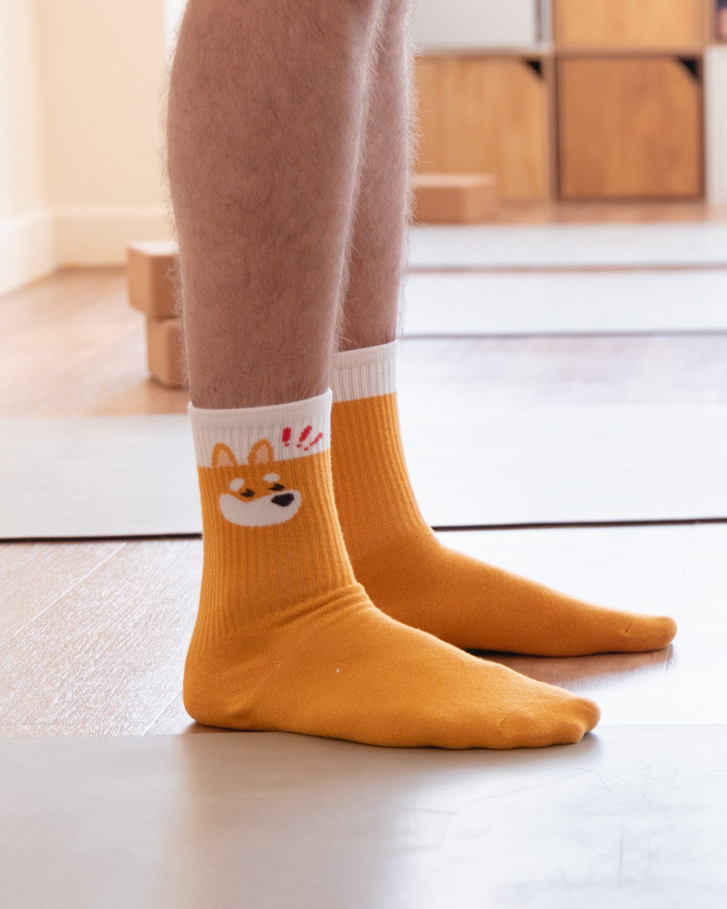 The Dog Socks