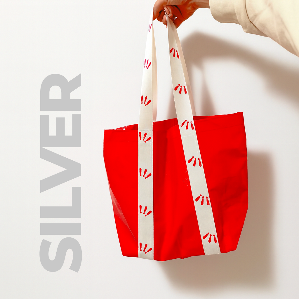 Silver Mystery Bag
