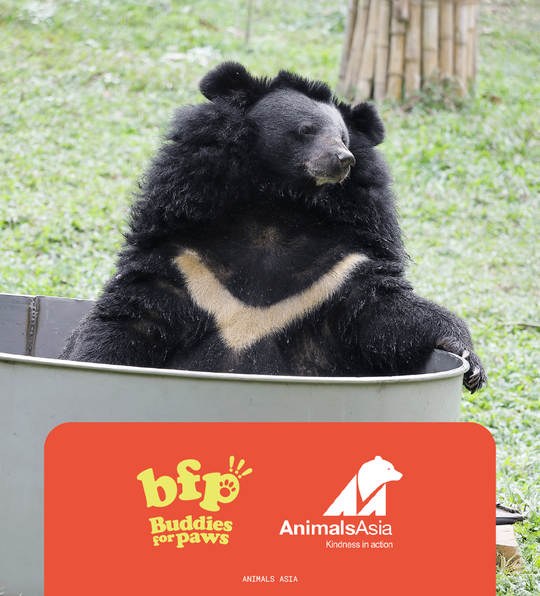 I want to donate more!