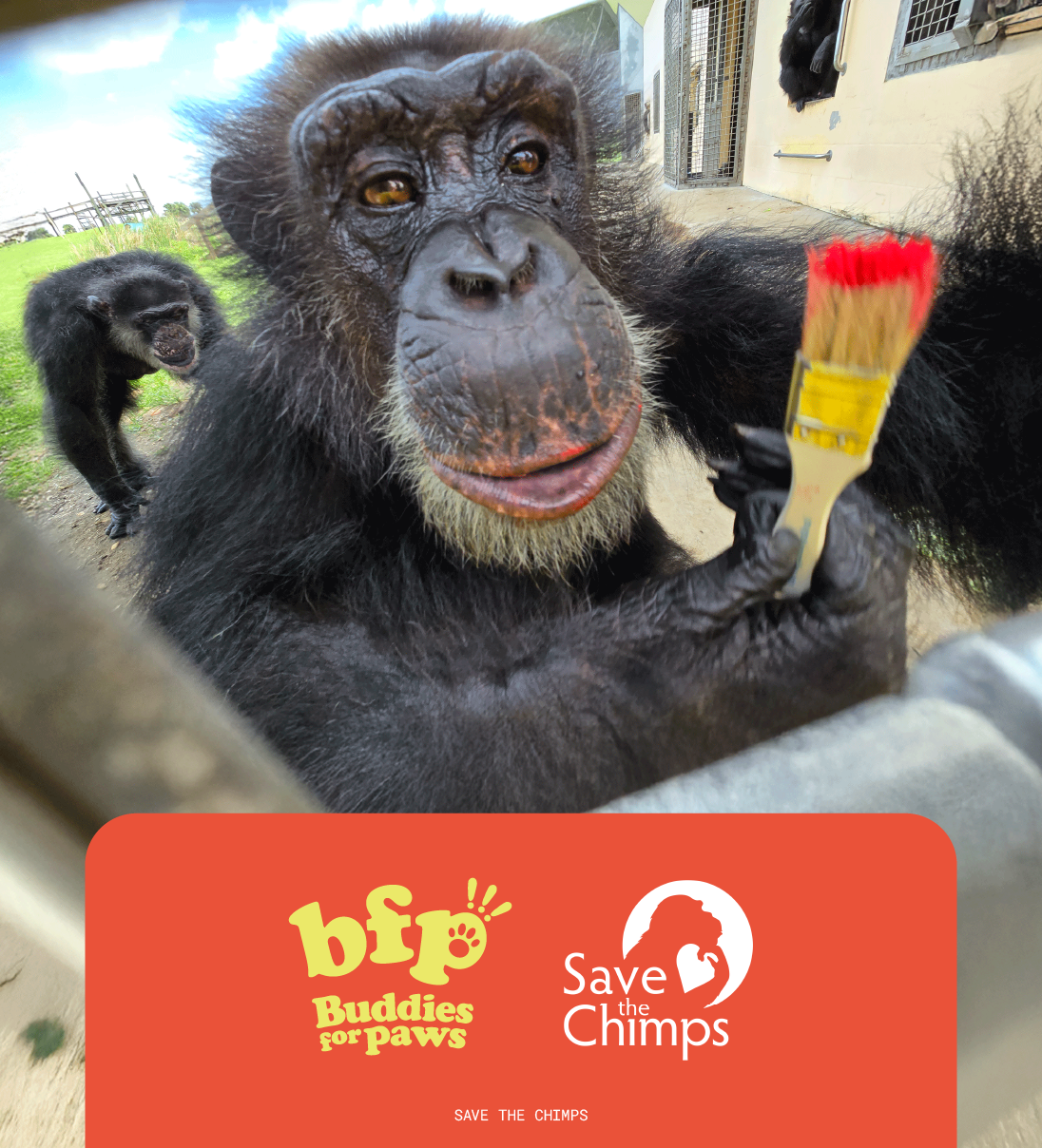 I want to donate more!