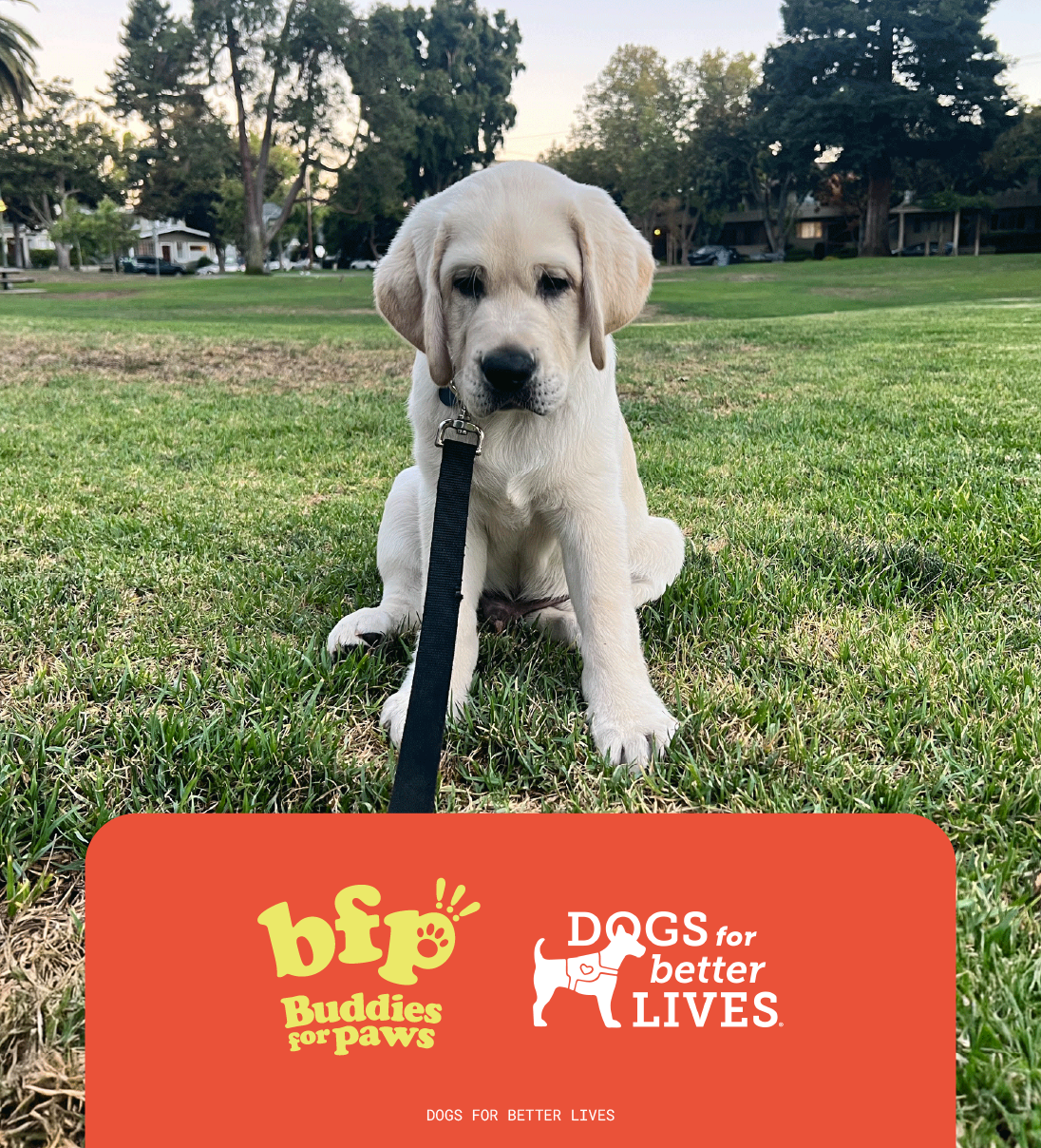 I want to donate more!