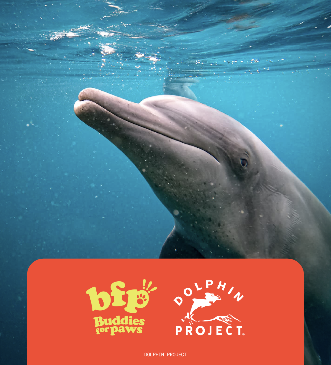 I want to donate more!