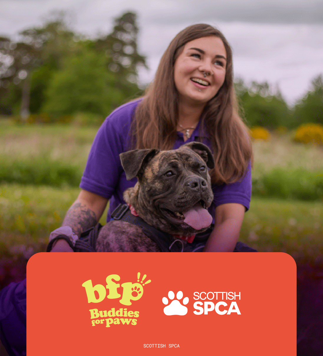 I want to donate more!