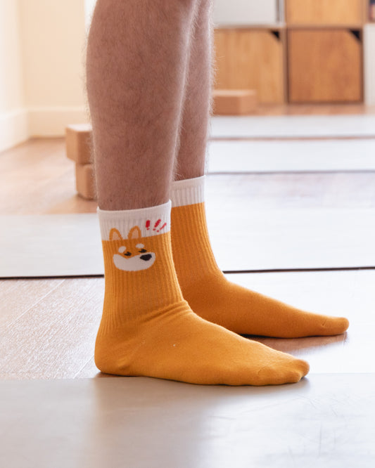 The Dog Socks